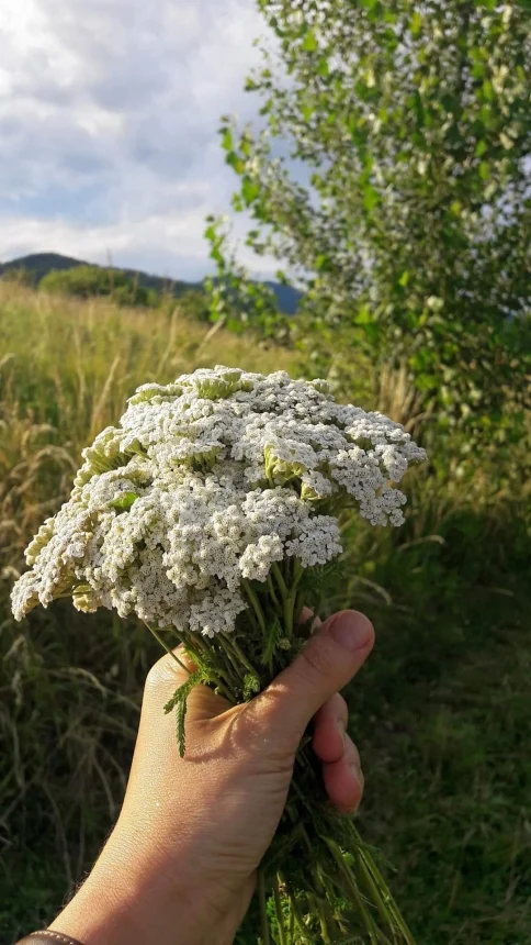 Fotografija